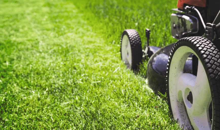 Lawn Care Maintenance